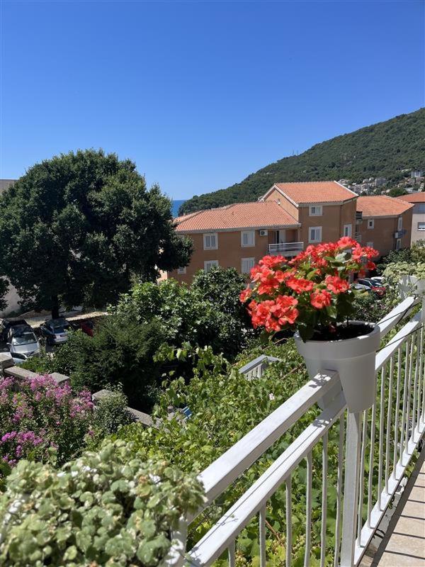 Petrovac Apartmani Neda Bane מראה חיצוני תמונה