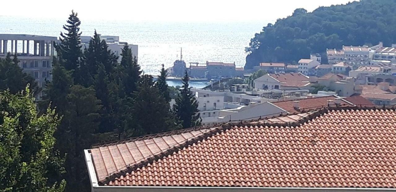 Petrovac Apartmani Neda Bane מראה חיצוני תמונה